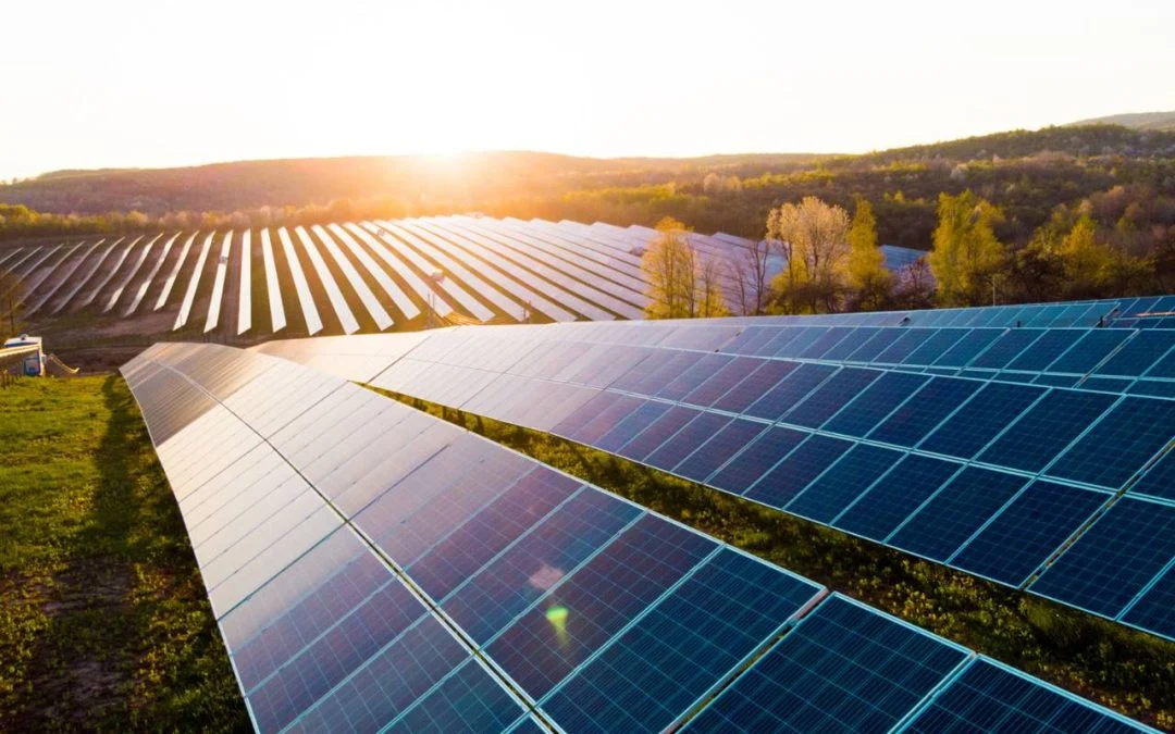 NTPC Renewable switches on full 150 MW solar power in Gujarat