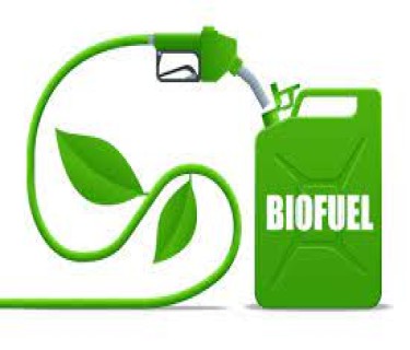 India achieves target of 10 pc ethanol blending, 5 months ahead of schedule
