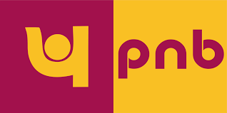 PNB first PSU bank to shift to secure ‘.bank.in’ domain