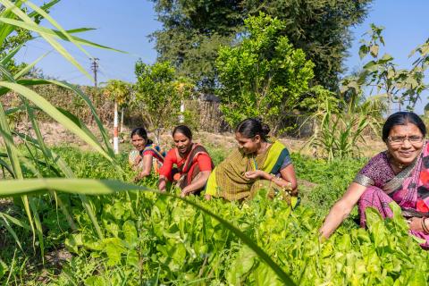 Grassroots biodiversity gets a boost: Govt Channels Rs 45 Lakh to village-level conservation committees