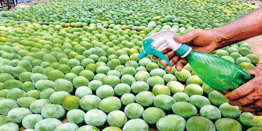 FSSAI asks states to intensify inspections and carry out drives to curb use of illegal ripening agents and synthetic coatings on fruits
