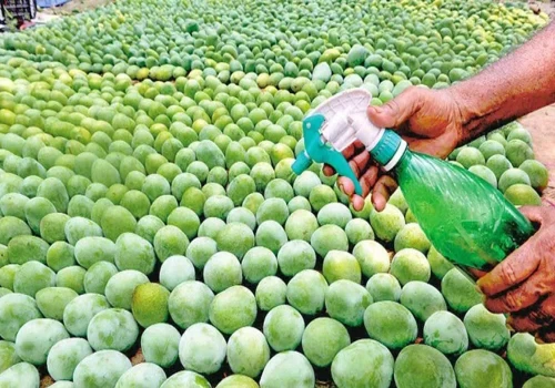 FSSAI asks states to intensify inspections and carry out drives to curb use of illegal ripening agents and synthetic coatings on fruits