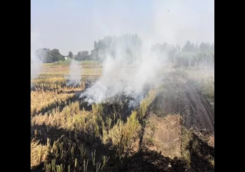 Farm fires account for just 3–5% of Delhi’s PM2.5 this winter, CPCB Data Shows