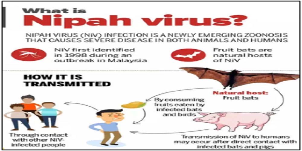 Nipah virus outbreak in Kerala: A growing concern