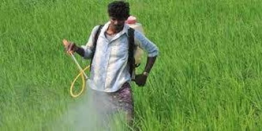 FICCI calls for reduction of GST on agrochemicals to 5 pc
