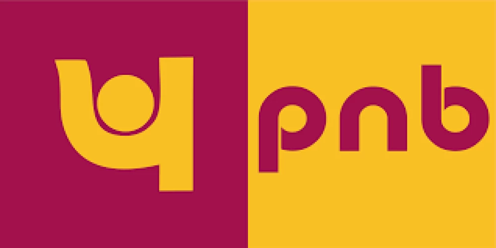 PNB first PSU bank to shift to secure ‘.bank.in’ domain
