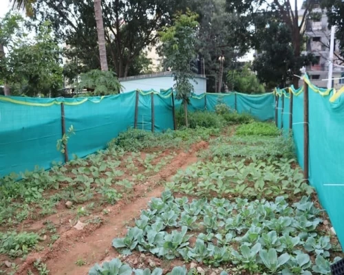 Amazon India launches 25 Urban Food Gardens in Karnataka schools to boost child nutrition