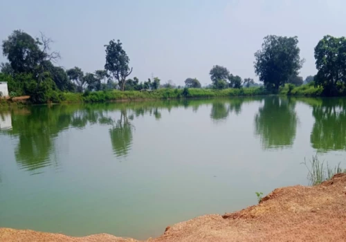 Ambuja Cements builds water-secure and resilient villages in Chhattisgarh through impactful CSR initiatives