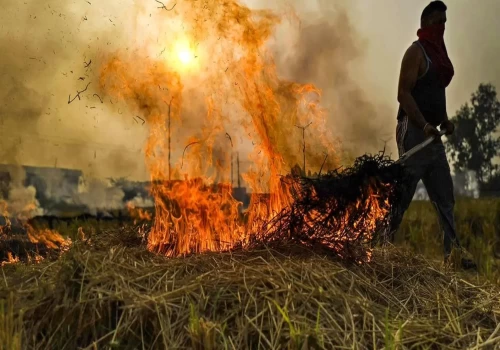 Vedanta’s TSPL initiative turns paddy stubble into fuel